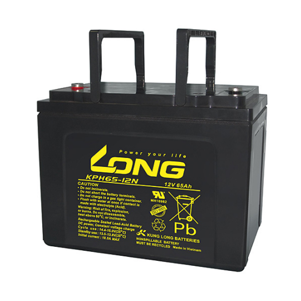Battery: Long KPH65-12N F8(M6), 12V/65Ah L260xW170xH202, 21.5kg