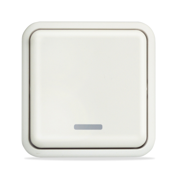 Alarm System Part: Everspring AC133-2, Wall Switch