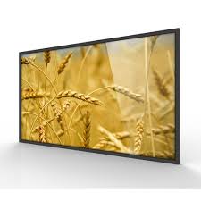 Digital Signage Display: Goodview M42SA, Wall mount, 42" LCD